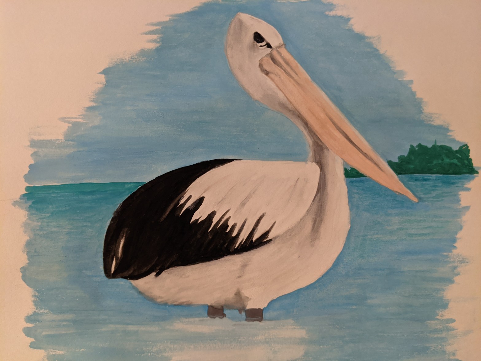 Pelican water colour sketch | Sandra Burns Art