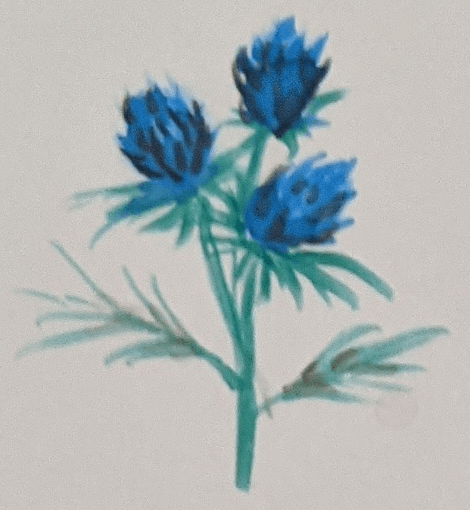 Sketchbook Art - Watercolour Flowers - Thistle - Sandra Burns Art