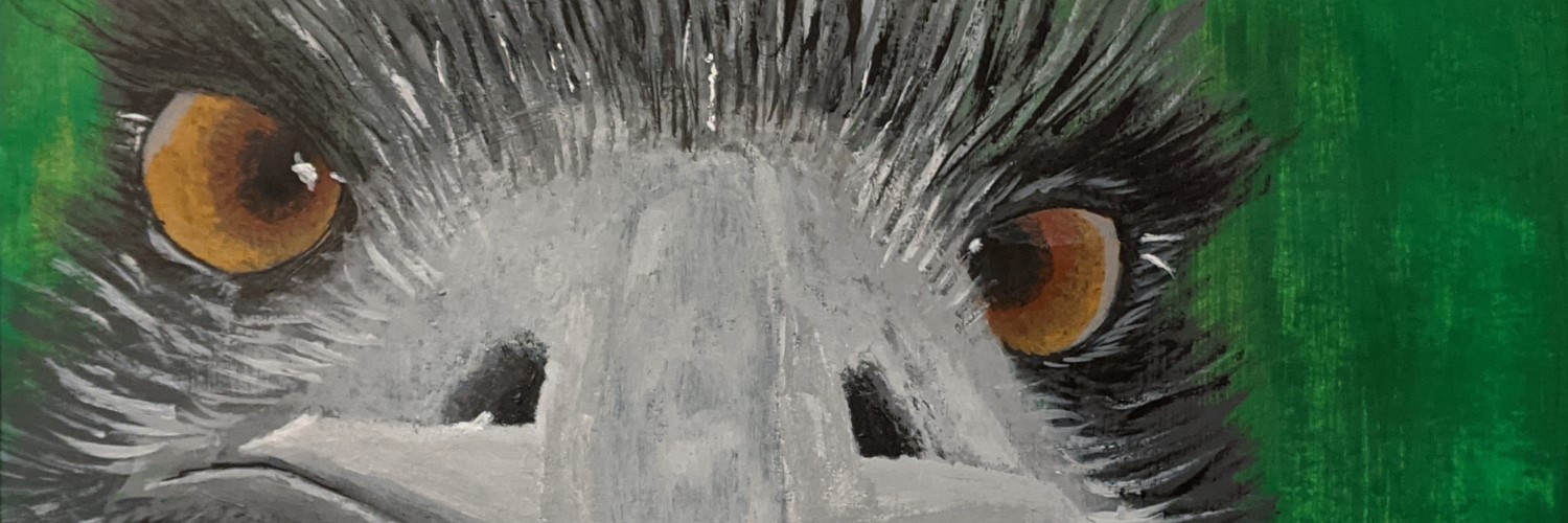 Eddie The Emu | Sandra Burns ART