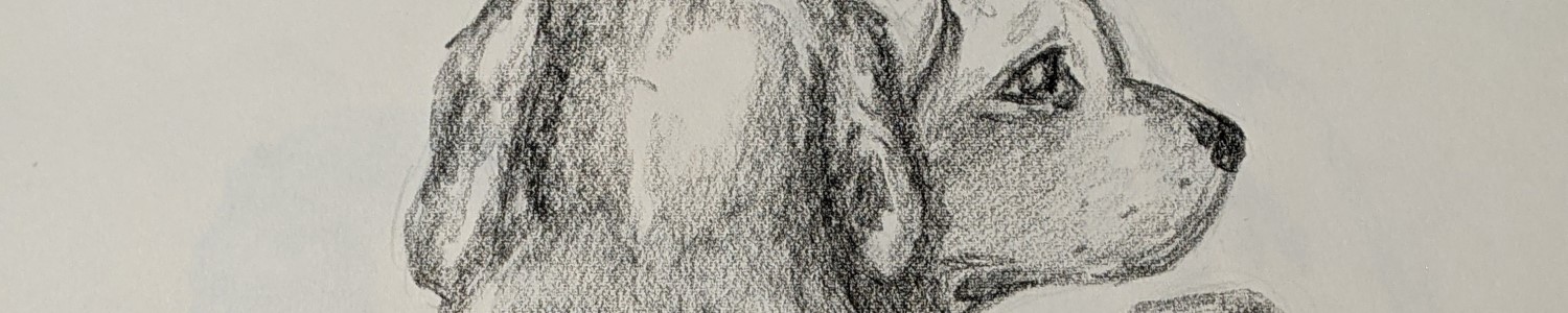 Weimaraner Puppies | Sandra Burns Art