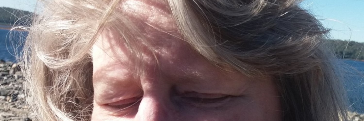 windy day | Sandra Burns Art