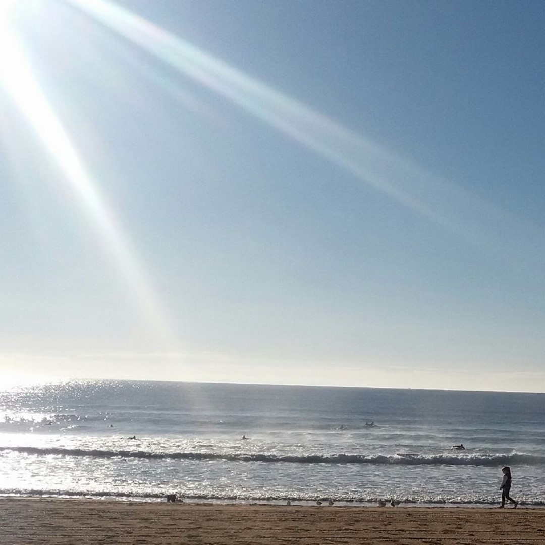 Sunshine in Manly | Sandra Burns Photography - Manly Beach, New South Wales - Sydney, Australia