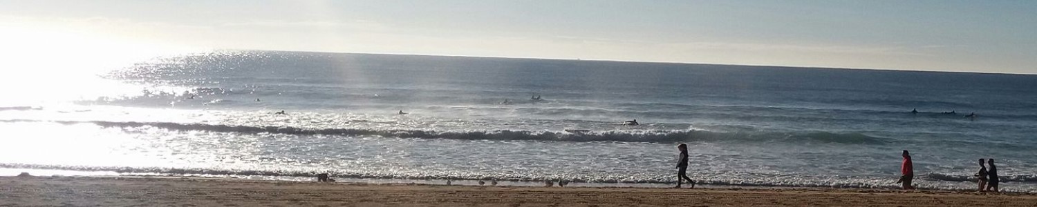 Sunshine in Manly | Sandra Burns Photography