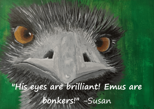 Eddie Emu feedback | Sandra Burns Art