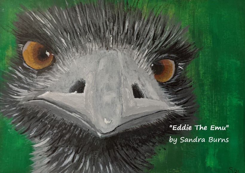 Eddie The Emu | Sandra Burns ART