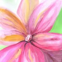 Blooming Delight - Sandra Burns ART
