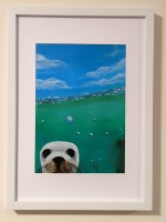 Sally The Seal - Sandra Burns ART