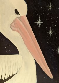 PELICAN PETE - Sandra Burns ART - nature art, close-up Australian Pelican painting, white bird with pink beak, black background with white stars - nature art for sale, original acrylic painting on paper