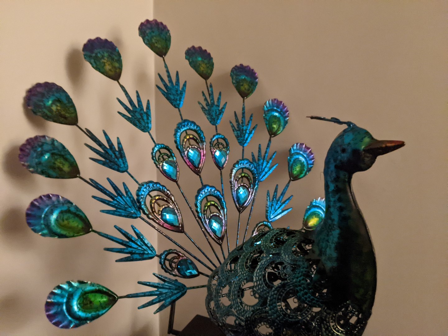 Peacock in Sandra Burns ART studio