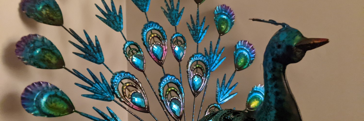 Penelope Peacock in Sandra Burns ART studio