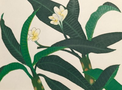 EXOTIC BLOOM unframed | Sandra Burns ART