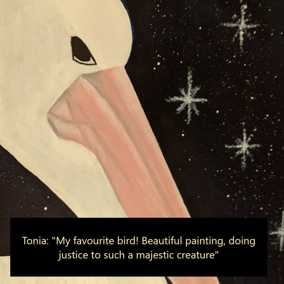 PELICAN PETE - Sandra Burns ART - nature art, close-up of an Australian Pelican, white bird with pink beak, black background with white stars, acrylic painting on paper