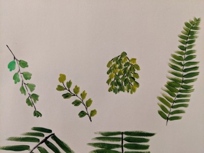 painting ferns - maidenhair, fishbone- Sandra Burns ART - sketchbook work, learning how to paint ferns