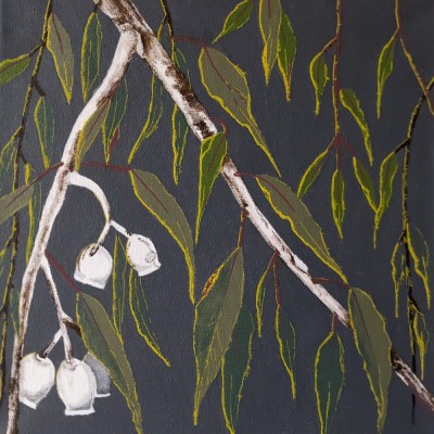 GUMNUTS IN THE MORNING SUN - Australian gum tree painting - Sandra Burns ART - nature art, eucalyptus gum tree and gum nuts, green grey white yellow, white and brown bark, green and blue leaves, grey background, yellow sunlight glistening on the leaves, escape to the quiet of the Australian bush - nature art for sale, original acrylic painting on stretched canvas
