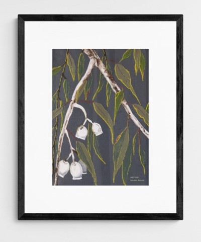 GUMNUTS IN THE MORNING SUN - Australian gum tree painting - Sandra Burns ART - nature art, eucalyptus gum tree and gum nuts, green grey white yellow, white and brown bark, green and blue leaves, grey background, yellow sunlight glistening on the leaves, escape to the quiet of the Australian bush - nature art for sale - original artwork reproduced on deluxe wall art print