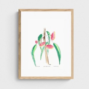 GUM TREE TUTUS - Sandra Burns ART - nature art, Australian gum tree flower painting, red green brown, flowers that look like ballerina tutus, the feeling of summer, feeling at peace - nature art for sale, original artwork reproduced on limited edition wall art prints, shown in 'oak' frame