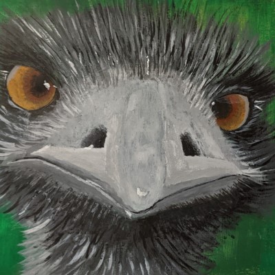 EDDIE THE EMU - Sandra Burns ART - nature art, Australian Emu painting, with amazing eyes looking at you, black white grey feathers, green background - original acrylic painting on paper