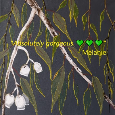 GUM NUTS IN THE MORNING SUN - Australian gum tree painting - Sandra Burns ART - nature art, eucalyptus gum tree and gum nuts, green grey white yellow, white and brown bark, green and blue leaves, grey background, yellow sunlight glistening on the leaves, escape to the quiet of the Australian bush - nature art for sale, original acrylic painting on stretched canvas