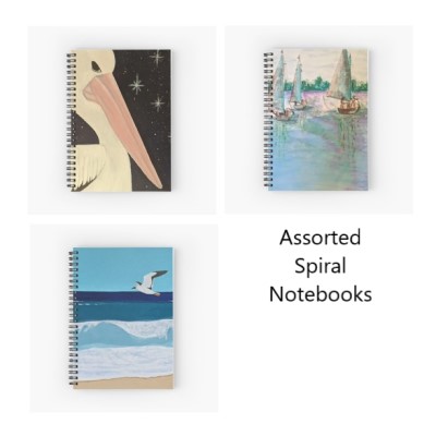3 Assorted Spiral Notebooks - Sandra Burns ART