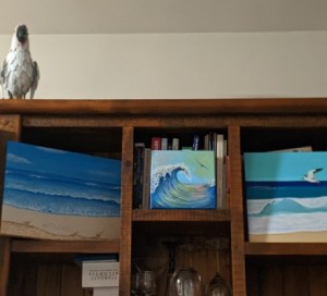 Top Shelf Art by Sandra Burns ART