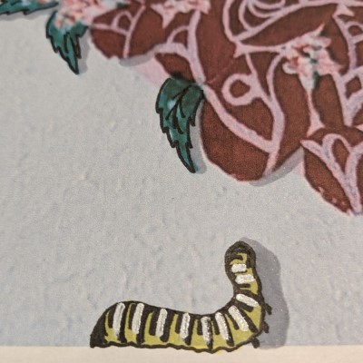 Snippet - coming soon to Sandra Burns ART