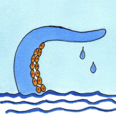 Sneak Peek - coming soon to Sandra Burns ART