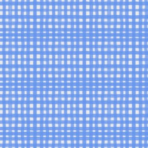 Blue Gingham - Sandra Burns ART