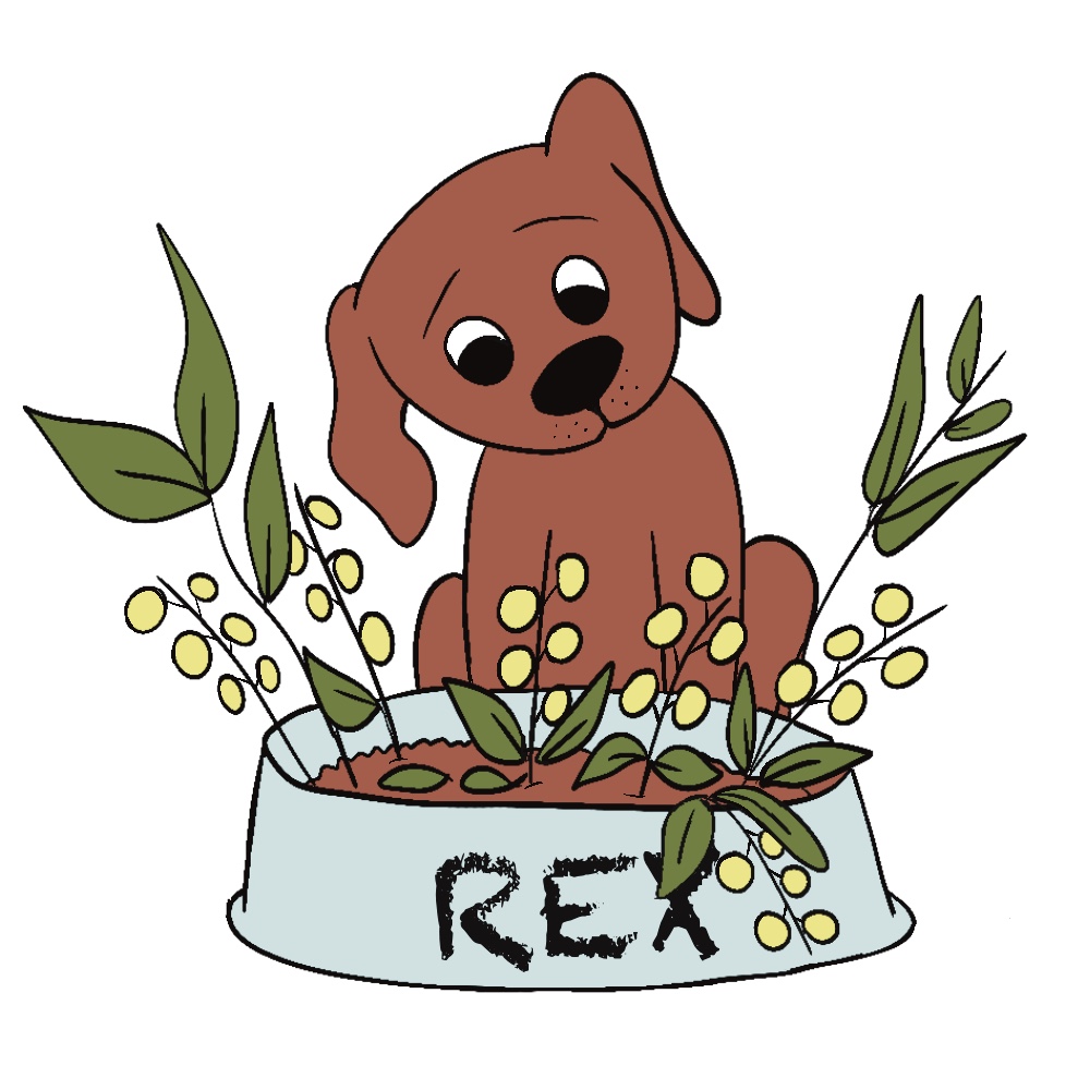 BOWL BOUQUET - Sandra Burns ART - nature art, flowers in a bowl, flowers growing in a dog bowl, brown green yellow blue, curious puppy looking at his dog food bowl, confused confusion - original digital artwork