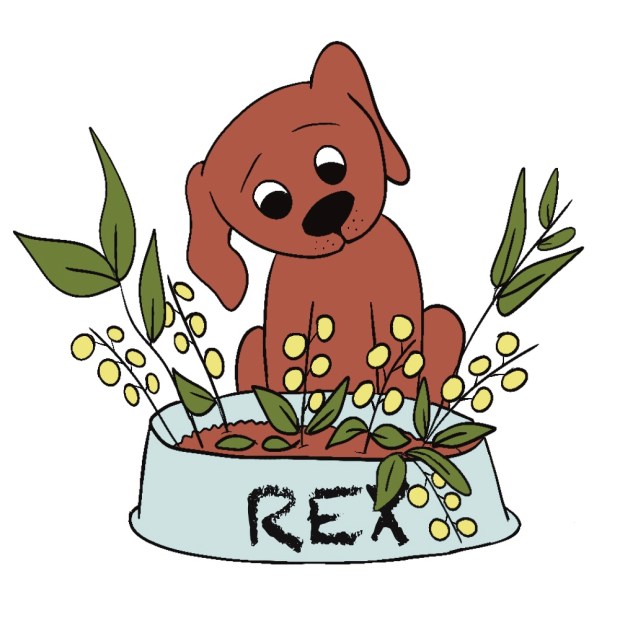 BOWL BOUQUET - Sandra Burns ART - nature art, flowers in a bowl, flowers growing in a dog bowl, brown green yellow blue, curious puppy looking at his dog food bowl, confused confusion - original digital artwork