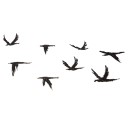 FREEDOM FLIGHT - Sandra Burns ART - nature art, birds in flight painting, flock of birds, black cockatoos, black white, birds flying past, freedom hope spirit, minimalist acrylic painting - nature art for sale, original acrylic painting on paper