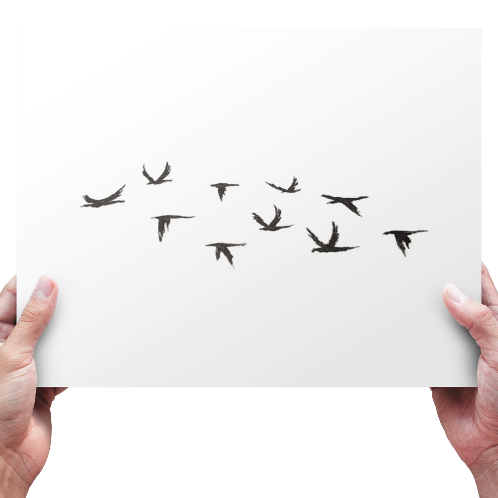 FREEDOM FLIGHT - birds in flight - A4 foam backed art print - Sandra Burns ART