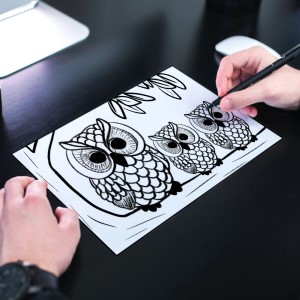 Owl Family Colouring Page - Sandra Burns ART