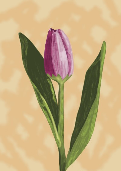 Tulip (SB24-F05) - © Sandra Burns ART