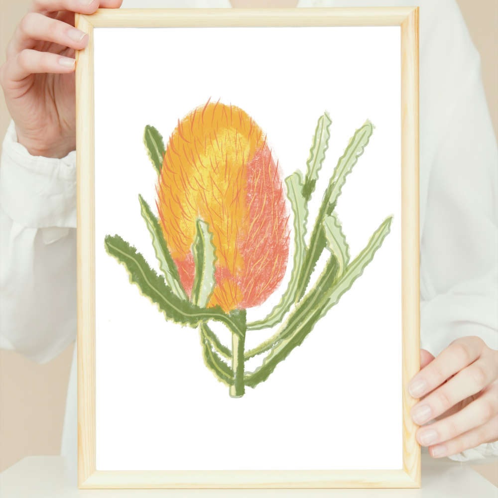 BANKSIA - artwork print - Sandra Burns ART