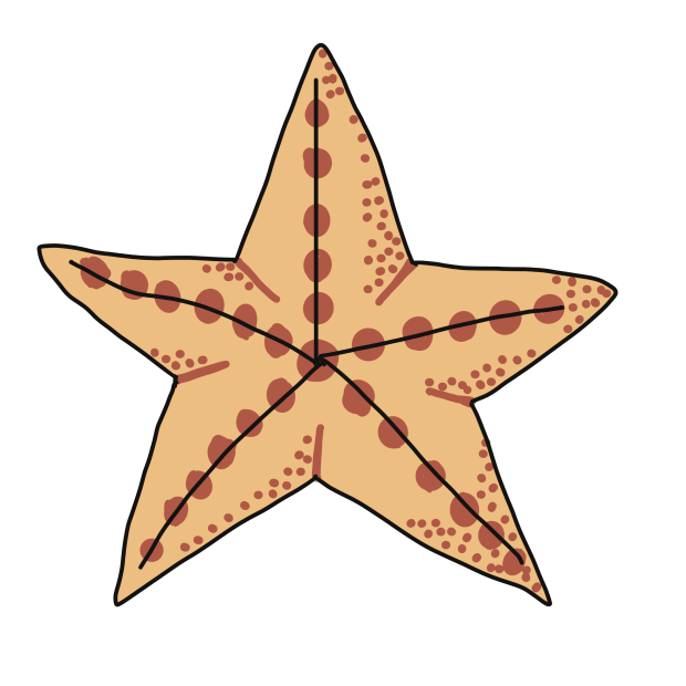 Cute Starfish - Sandra Burns ART