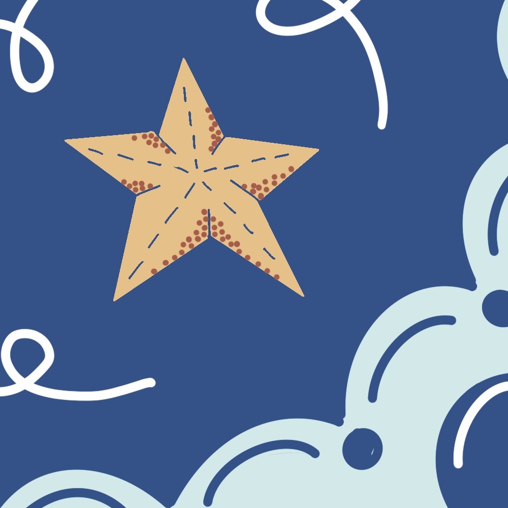 STARS AND SHELLS - close-up - Sandra Burns ART