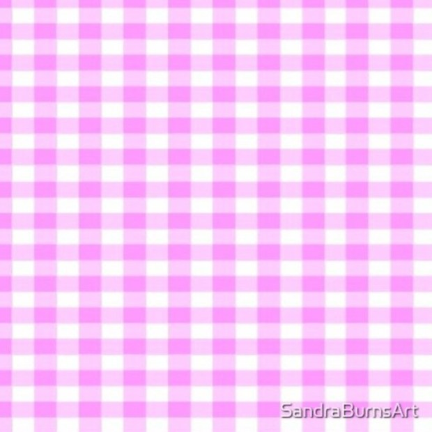 PINK GINGHAM - by Sandra Burns ART