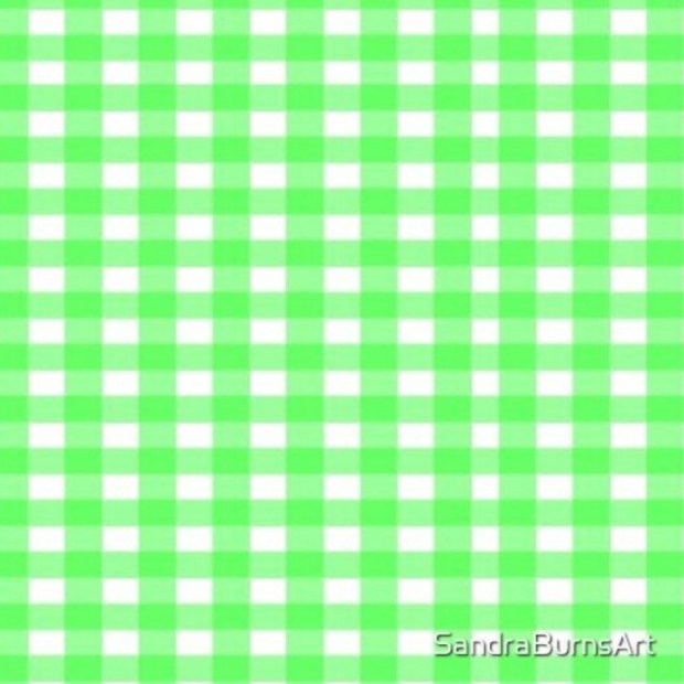 GREEN GINGHAM - by Sandra Burns ART