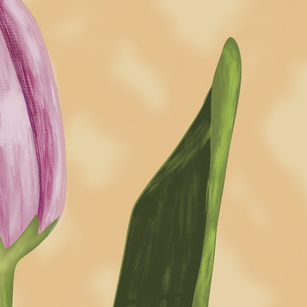PINK TULIP - close-up - Sandra Burns ART