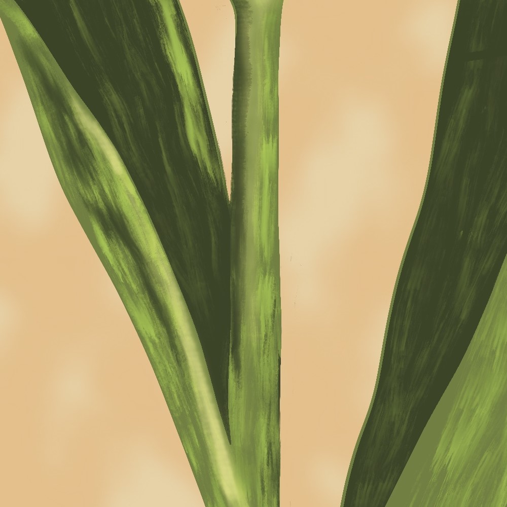 PINK TULIP - close-up - Sandra Burns ART