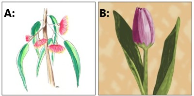 Vote for your favourite floral painting - both simple designs for a calming effect - Sandra Burns ART
