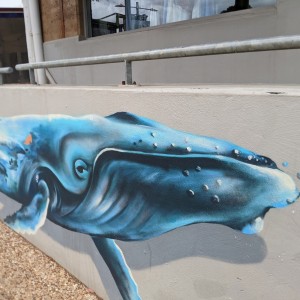 Margaret River Township - whale art photo by Sandra Burns ART